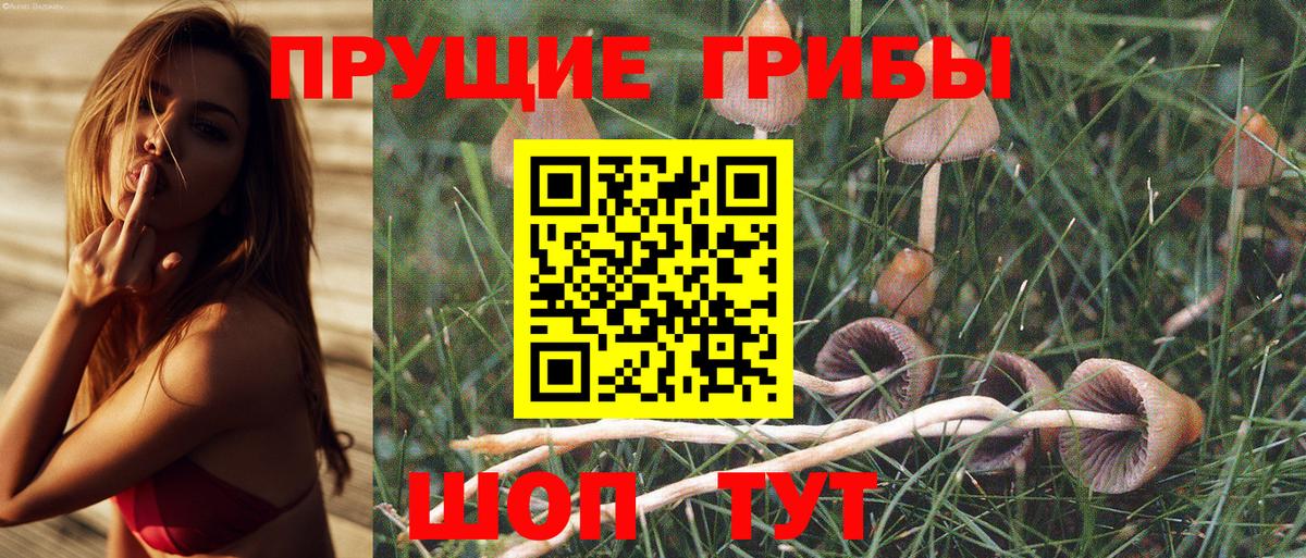 Псилоцибиновые грибы Cubensis Советская Гавань