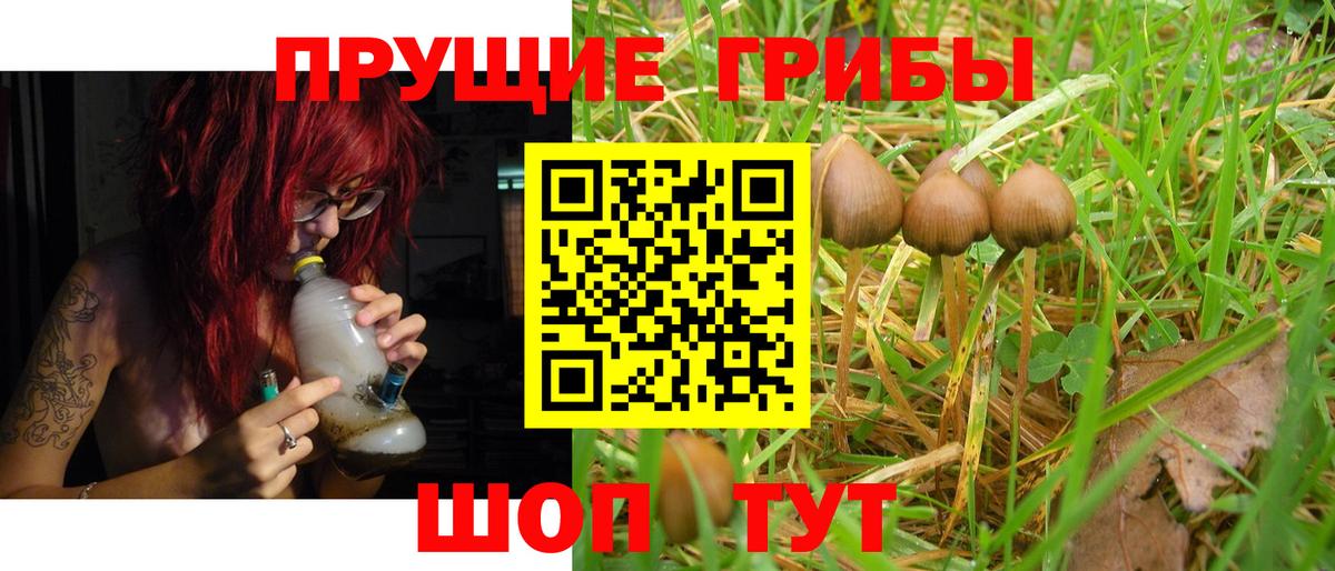 Галлюциногенные грибы Psilocybine cubensis  Псилоцибиновые грибы Psilocybine cubensis  Советская Гавань  Вход с VPN 