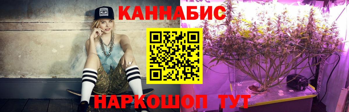 Бошки Шишки семена Советская Гавань